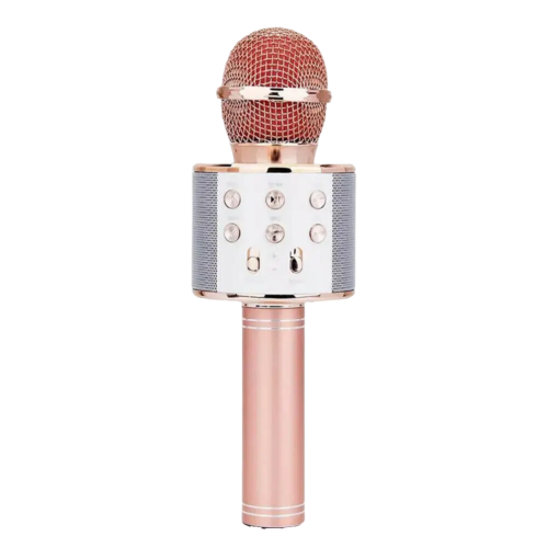 WIRELESS BT MICROPHONE MAGIC KTV - Your Own Marketplace